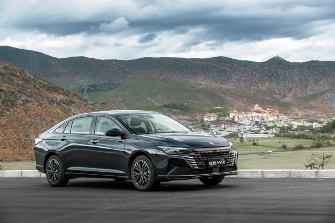 MAX享維修保養(yǎng)終身免費上門取車服務(wù)